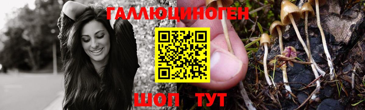 Конаково  Галлюциногенные грибы прущие грибы  Вход с VPN 
